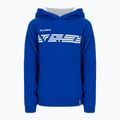 Кофта тенісна дитяча Tecnifibre Fleece Hoodie блакитна 21LAHORO0B