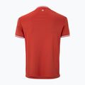 Футболка тенісна чоловіча Tecnifibre Team Tech terracotta 5