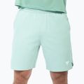 Шорти тенісні чоловічі Tecnifibre Team Stretch Short sage 2
