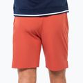 Шорти тенісні чоловічі Tecnifibre Team Stretch Short terracotta 2
