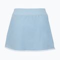 Тенісна спідниця Tecnifibre Team Stretch Skirt glacier 4