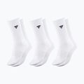 Шкарпетки Tecnifibre Classic 3 pairs white