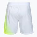 Шорти тенісні чоловічі Tecnifibre X-Loop white/yellow 6