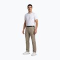 Штани трекінгові чоловічі Aulp Brady light khaki 2