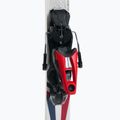 Лижі гірські чоловічі Rossignol Signature Strato Crs K + NX12 white 7