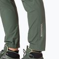 Штани трекінгові чоловічі Rossignol SKPR ebony green 6