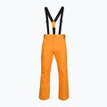 Чоловічі гірськолижні штани Rossignol Ski sunburst 8