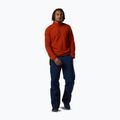 Кофта флісова чоловіча Rossignol Quarter Zip Fleece rooibos tea 2