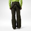 Штани лижні чоловічі Rossignol Insulated Ski olive shadow 3