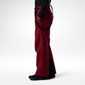 Штани лижні чоловічі Rossignol Insulated Ski tibetan red 4