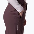 Штани лижні жіночі Rossignol 4WS Blackside Insulated huckleberry 7