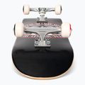 Скейтборд класичний Element Seal 8" 5