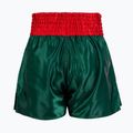 Шорти для тренувань чоловічі Venum Classic Muay Thai deep forest green 2