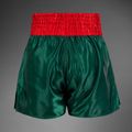 Чоловічі тренувальні шорти Venum Classic Muay Thai хакі 2