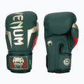 Боксерські рукавички Venum Elite зелені