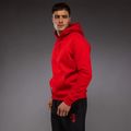 Кофта чоловіча Venum x Mike Tyson Tiger Hoodie intense red/deep black 4