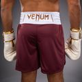 Шорти для тренувань чоловічі Venum Classic Boxing burgundy 6