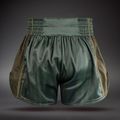 Шорти для тренувань Venum Stealth Muay Thai Khaki/Dark Green 2