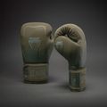 Рукавиці боксерські Venum Stealth Boxing khaki/dark green 2