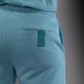 Шорти чоловічі Venum Contender Fleece Cotton Turquoise 5
