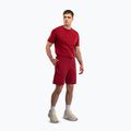 Шорти для тренувань чоловічі Venum Giant 3D Cotton red 2