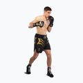 Шорти для тренувань чоловічі Venum x Mike Tyson Tiger black/gold 2