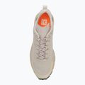 Кросівки чоловічі VEJA Dekkan natural/white 5