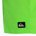 Шорти для плавання чоловічі Quiksilver Everyday 15" green gecko 4