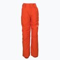 Штани для сноуборду дитячі Quiksilver Estate помаранчеві EQBTP03033