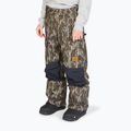 Штани сноубордичні чоловічі DC Code mossy oak original bottomland