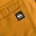 Штани сноубордичні чоловічі Quiksilver Estate buckthorn brown 3