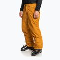 Штани сноубордичні чоловічі Quiksilver Estate buckthorn brown 7