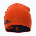 Шапка зимова Quiksilver M&W pureed pumpkin 2