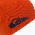 Шапка зимова Quiksilver M&W pureed pumpkin 3