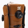 Черевики для сноуборду жіночі DC Lotus choco brown/off white 6
