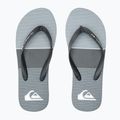 В'єтнамки чоловічі Quiksilver Molokai Tijuana grey 12