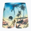 Шорти для плавання чоловічі Quiksilver Everyday Paradise Volley 15" snapdragon