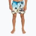Шорти для плавання чоловічі Quiksilver Everyday Paradise Volley 15" snapdragon 2