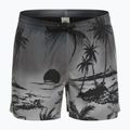 Шорти для плавання чоловічі Quiksilver Everyday Paradise Volley 15" black