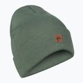 Чоловіча шапка для сноуборду Quiksilver Brigade Beanie лавровий вінок 6