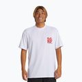 Чоловіча футболка для плавання Quiksilver Everyday Surf Tee біло-чорна
