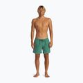 Шорти для плавання чоловічі Quiksilver Everyday Surfwash Volley 15 frosty spurce 4