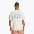 Чоловіча футболка Quiksilver Lifes Quik устричний білий 2