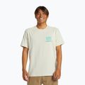 Чоловіча футболка Quiksilver Natural Forms Mor срібляста береза