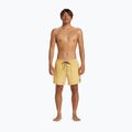 Шорти для плавання чоловічі Quiksilver Everyday Solid Volley 15 4