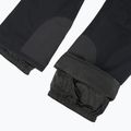 Штани сноубордичні жіночі ROXY Gore-Tex Stretch Prism Bib true black 10