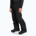 Штани сноубордичні чоловічі Quiksilver Utility true black 4