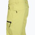 Штани сноубордичні чоловічі Quiksilver Utility celery green 10