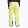 Штани сноубордичні чоловічі Quiksilver Utility celery green 3