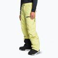 Штани сноубордичні чоловічі Quiksilver Utility celery green 4